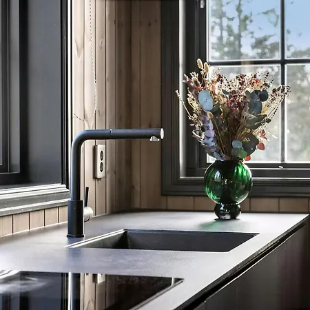 Holiday home Bo Pa Norefjell Lige Ved Siden Af Alpint Skilob Og Langrend