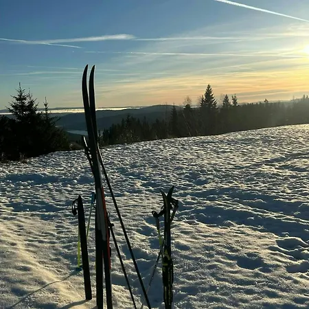 Bo Pa Norefjell Lige Ved Siden Af Alpint Skilob Og Langrend *